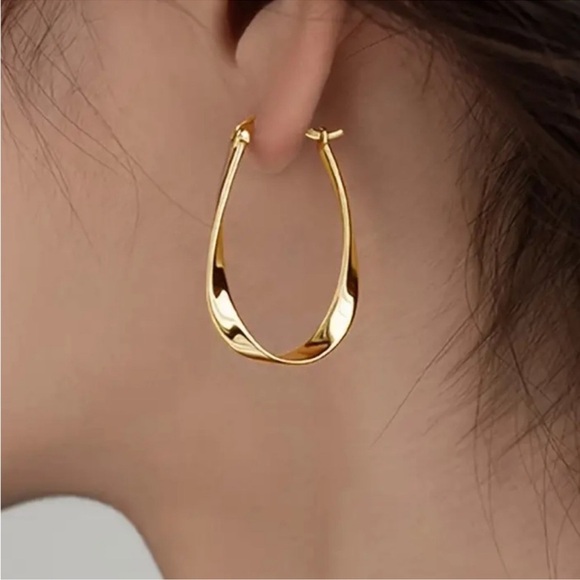 Elegant Gold Hoop Earrings - Picture 1 of 1